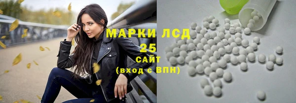 сатива Алзамай