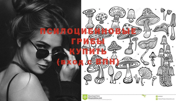 сатива Алзамай